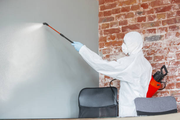 Best Mold-Related Health Consultation  in Lakeland, MN