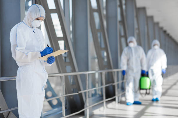 Best Environmental Consulting for Mold Prevention  in Lakeland, MN