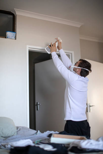 Best Water Damage & Mold Remediation  in Lakeland, MN