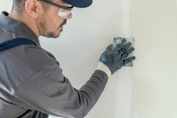 Best Mold Damage Restoration  in Lakeland, MN