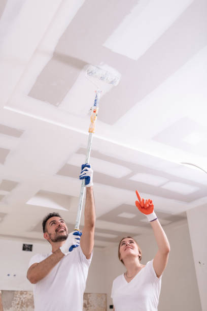Dehumidification Services in Lakeland, MN