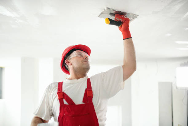 Best Asbestos and Lead Testing During Mold Inspection  in Lakeland, MN