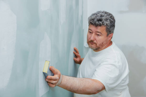Best Airborne Mold Testing  in Lakeland, MN
