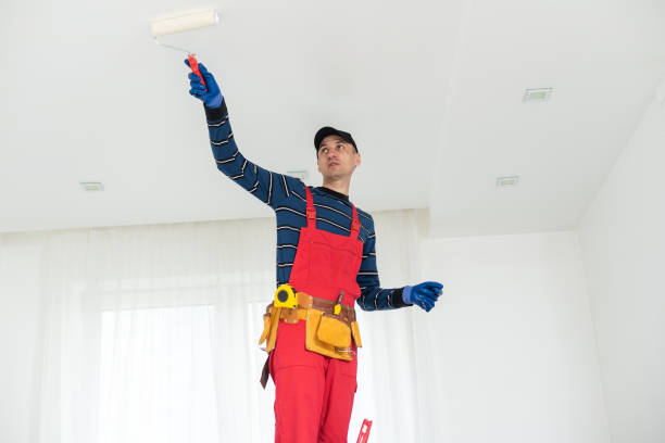 Best Comprehensive Air Testing for Mold Contaminants  in Lakeland, MN