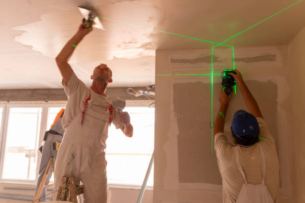 Best Crawl Space Mold Remediation  in Lakeland, MN