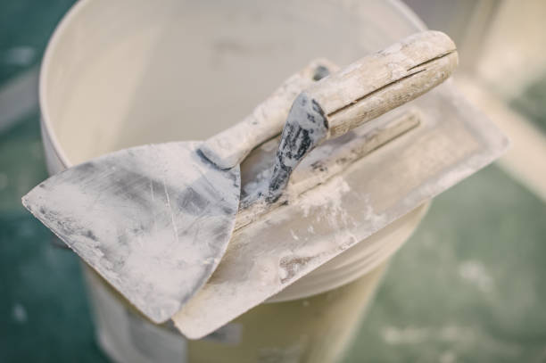 Biohazard Mold Removal in Lakeland, MN