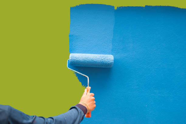 Environmental Consulting for Mold Prevention in Lakeland, MN