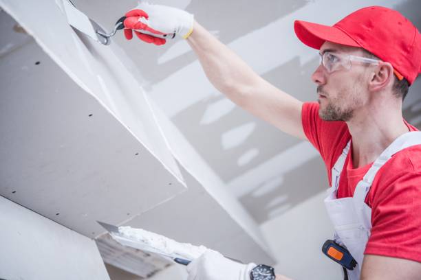 Best HVAC Mold Inspection and Cleaning  in Lakeland, MN