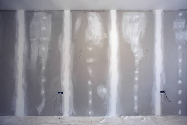 Lakeland, MN Mold Removal Company